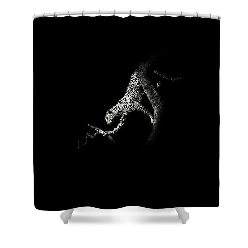 African Shower Curtain featuring the photograph African Leopard, South Africa by Stu Porter