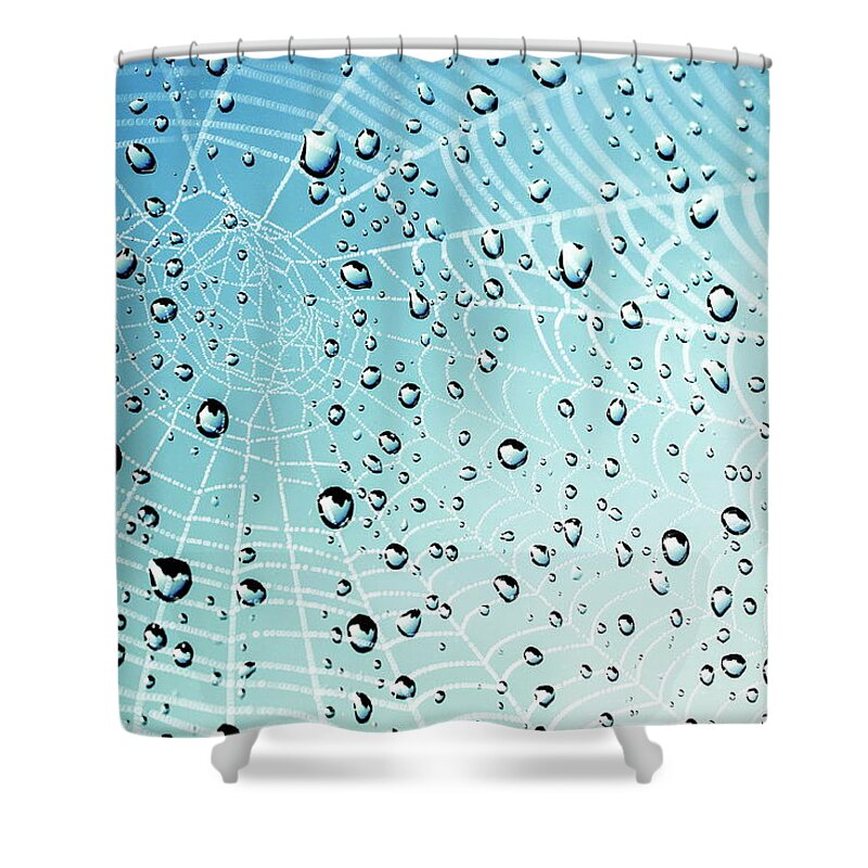 Cobweb Shower Curtain featuring the photograph After the Rain Cobwebs by Andrea Kollo