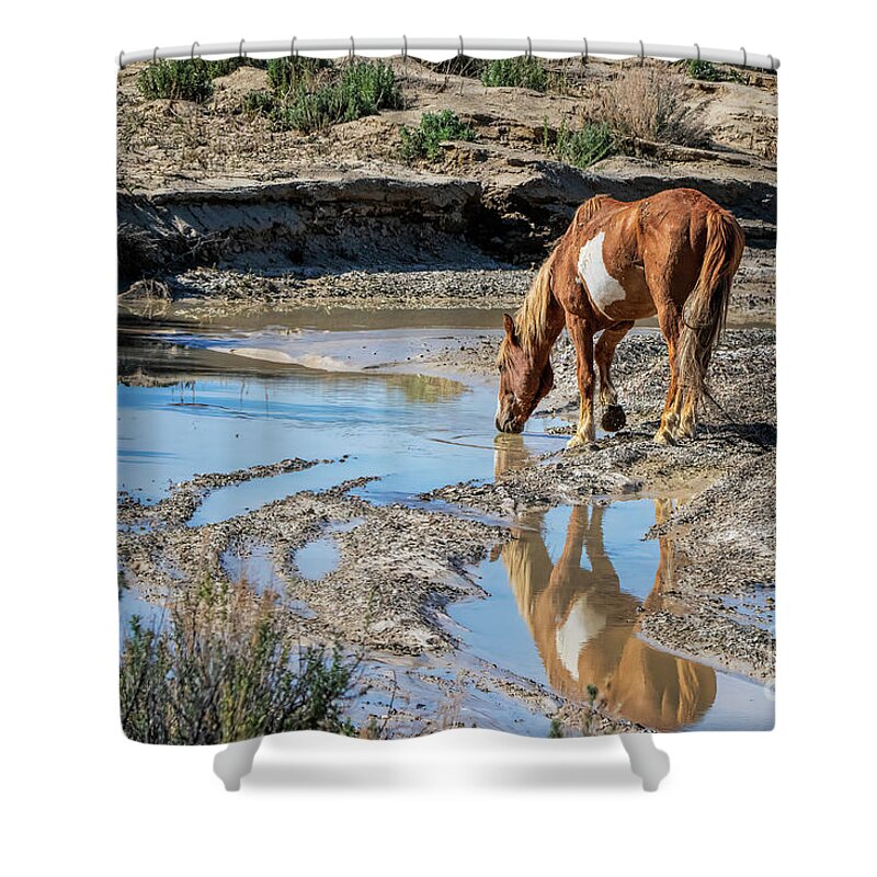 Mustang Shower Curtain featuring the photograph After the Rain by Jim Garrison