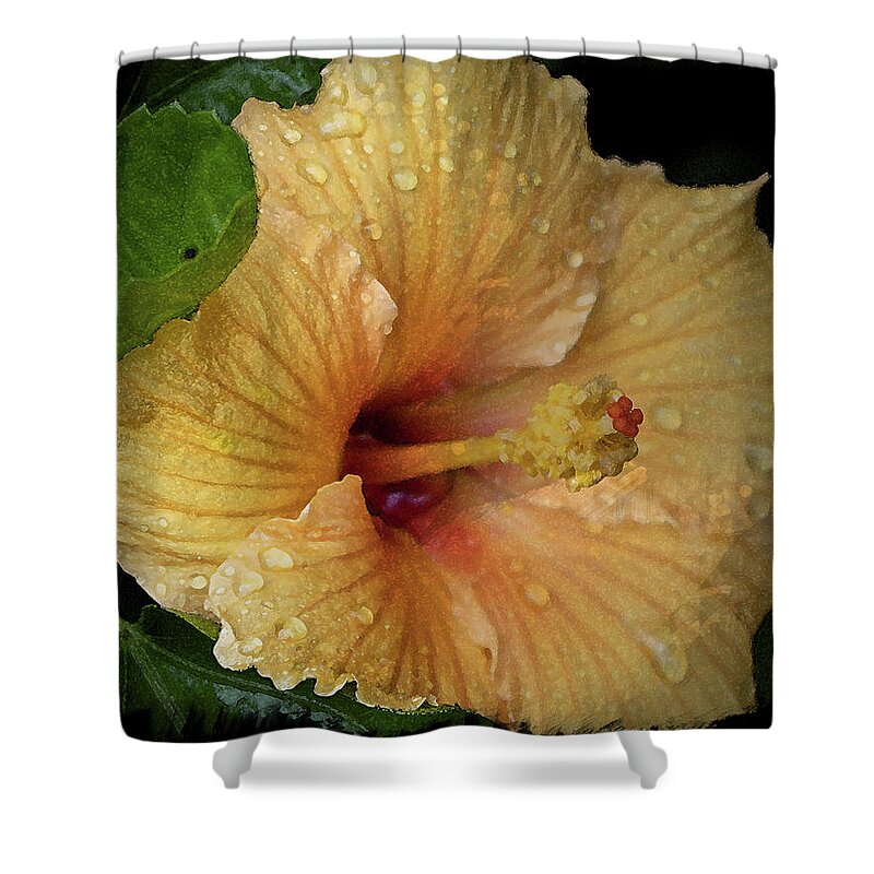 Hibiscus Shower Curtain featuring the photograph After the Rain by M Kathleen Warren