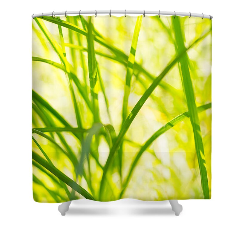 Afternoon Nap Shower Curtain featuring the photograph Afternoon Nap by Derek Dean