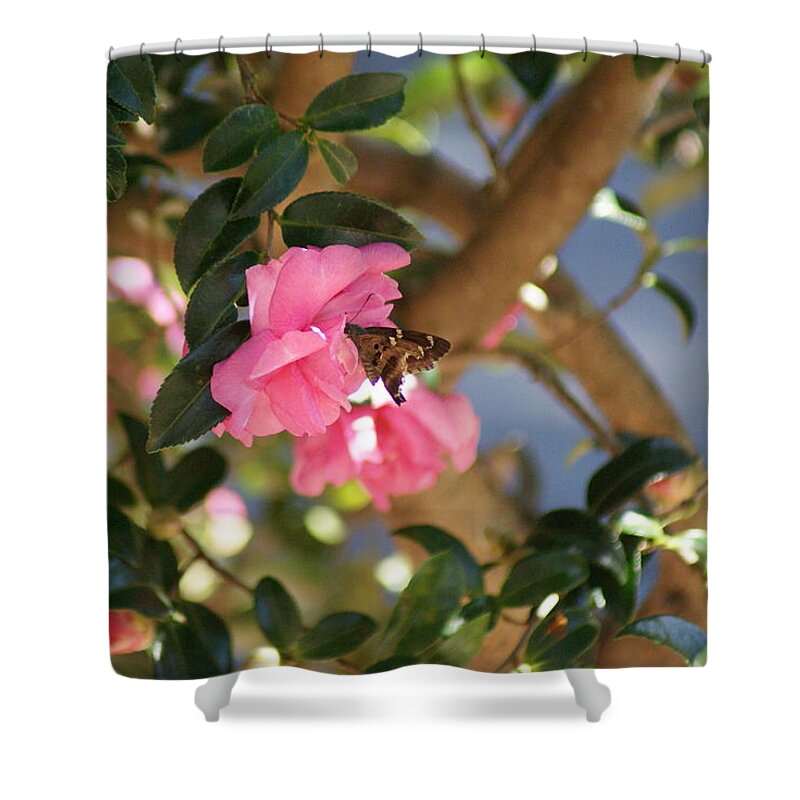  Shower Curtain featuring the photograph Afternoon Snack by Heather E Harman