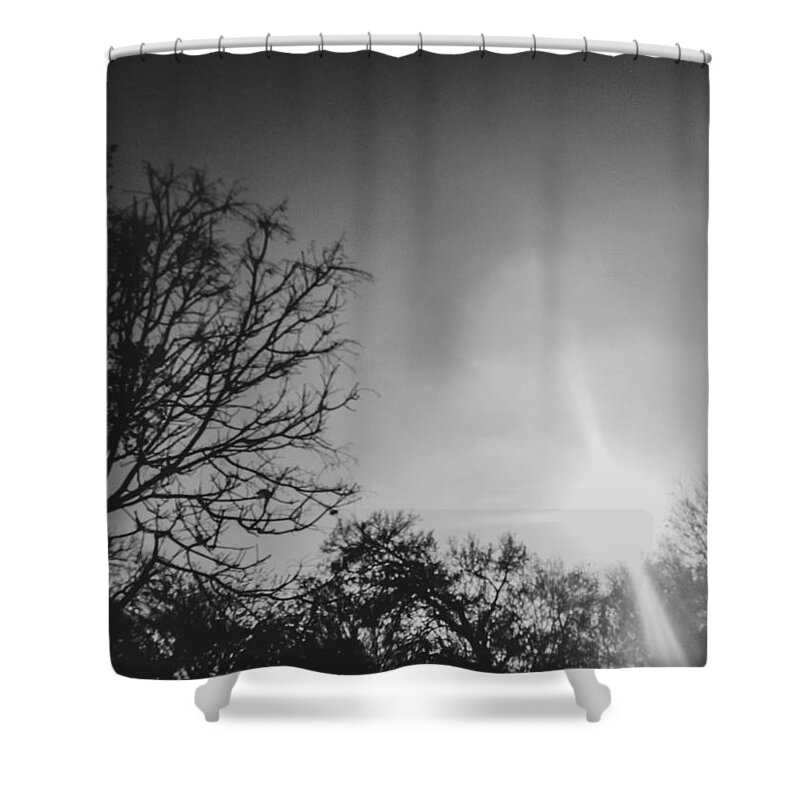 Trees Shower Curtain featuring the photograph Afternoon Sun by W Craig Photography