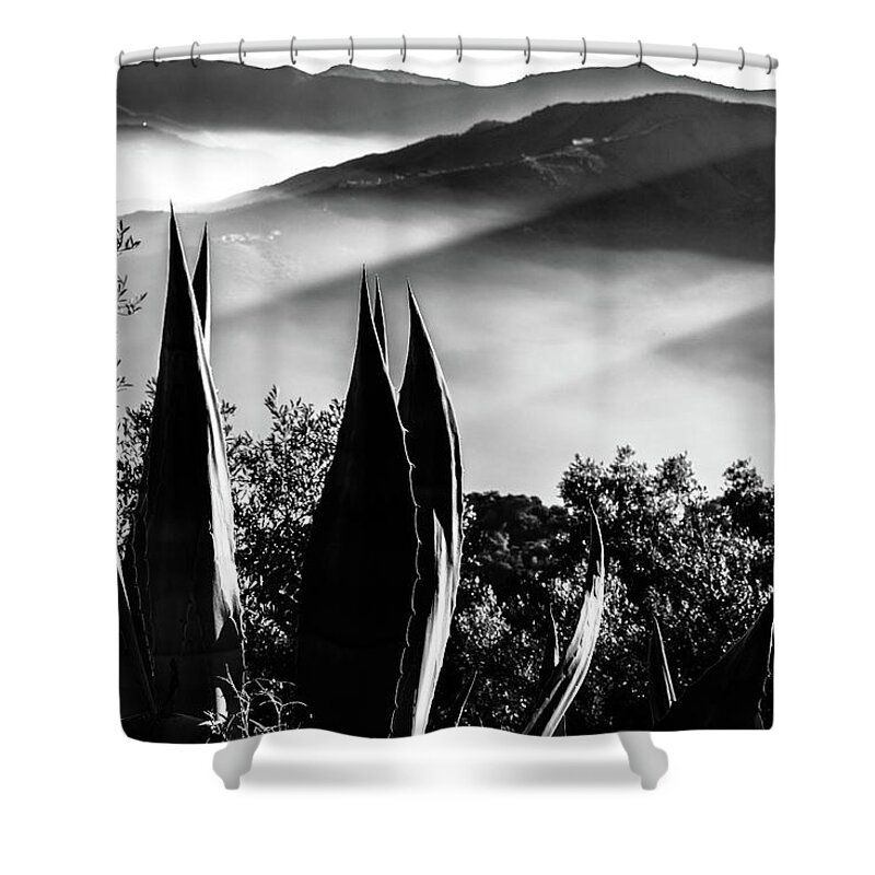 Agave Americana Shower Curtain featuring the photograph Agave American in the Andalusian hills by Gary Browne
