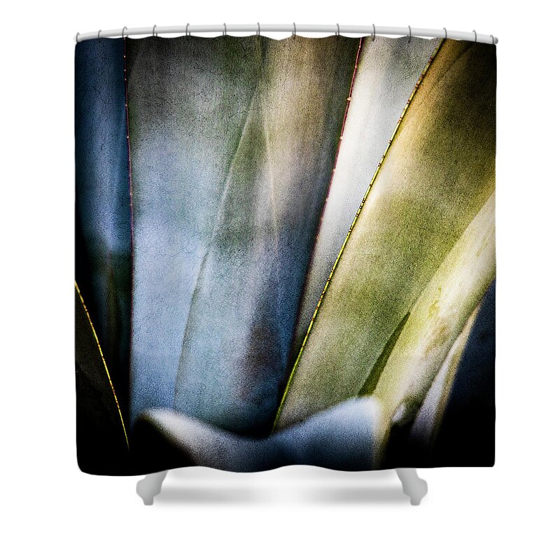 Agave Art Shower Curtain featuring the photograph Agave Art by Paul Bartell