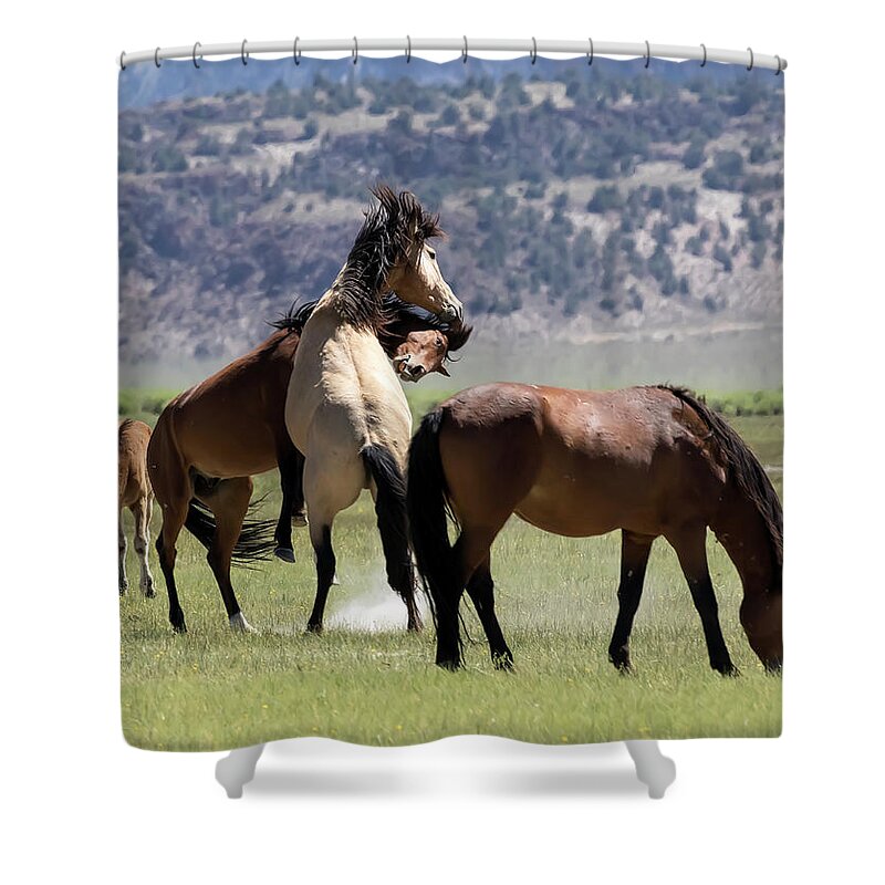 Eastern Sierra Shower Curtain featuring the photograph Aggression  by Cheryl Strahl