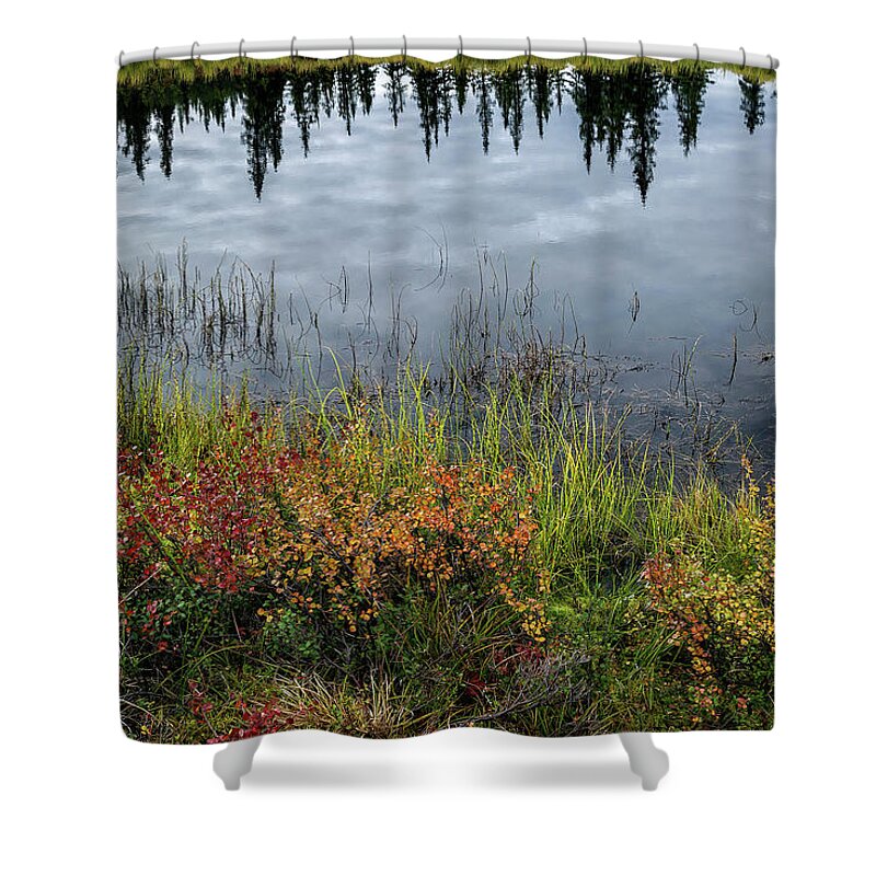 Alaska Shower Curtain featuring the photograph Alaska - black pond by Olivier Parent