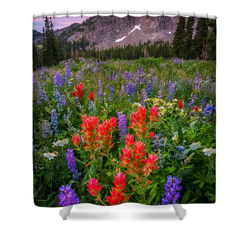 Albion Basin Shower Curtain featuring the photograph Albion Blush by Ryan Smith