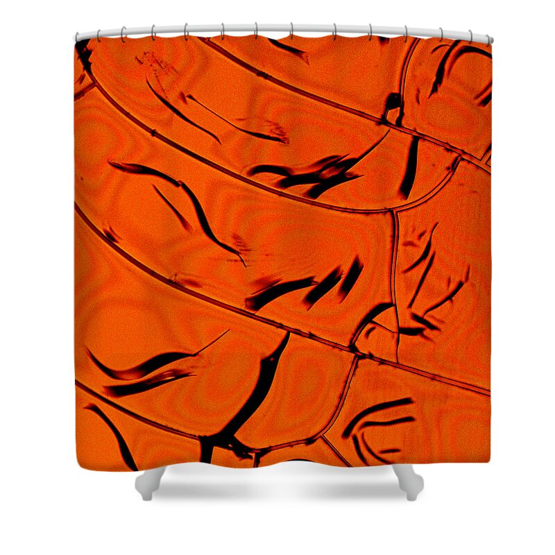 Abstract Shower Curtain featuring the photograph Albumin 6 by Ivan Amato