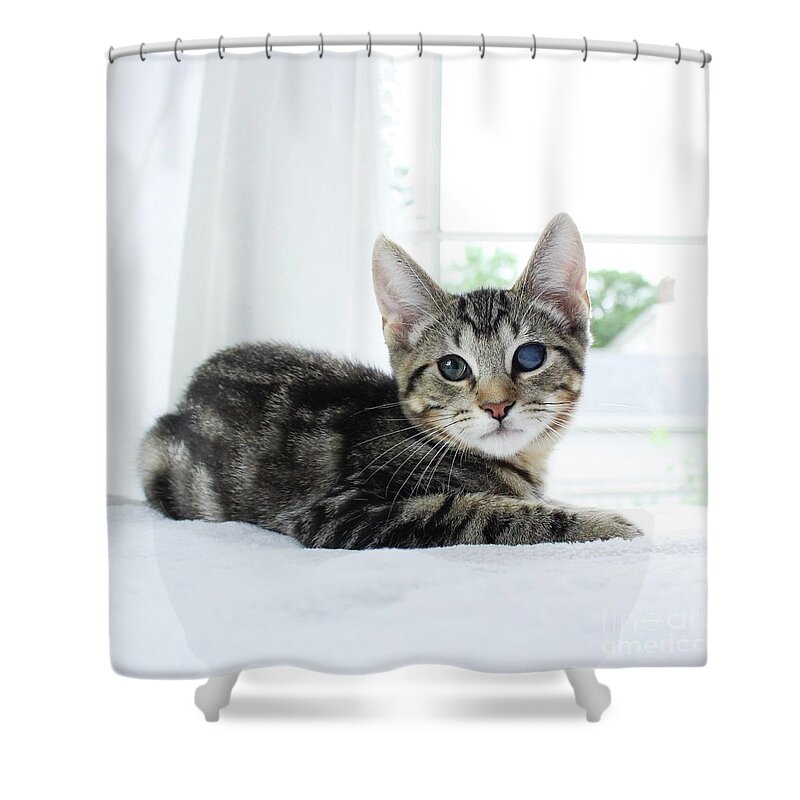 Sea Shower Curtain featuring the photograph Ali Baba by Michael Graham