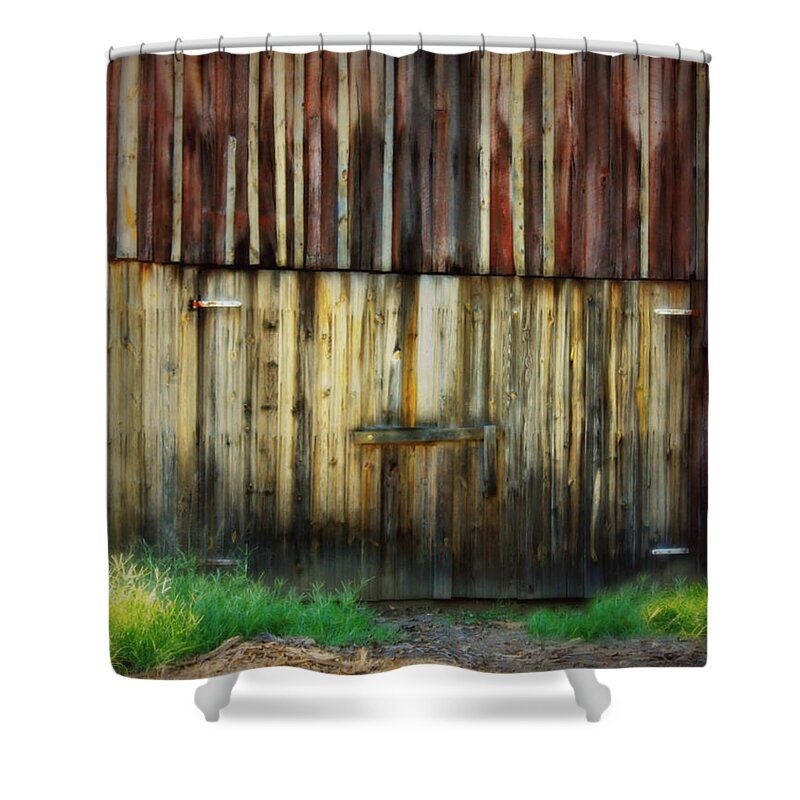Barn Shower Curtain featuring the photograph All Dressed Up by Julie Hamilton