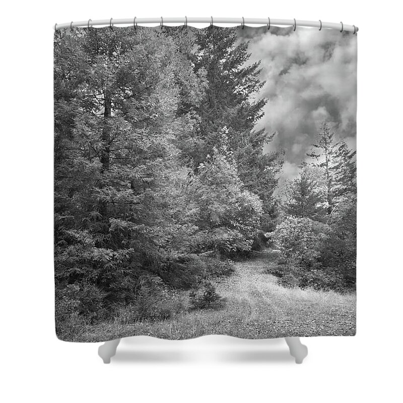 Monochrome Black And White Trees Forest Trail Quiet Serine Peaceful Shower Curtain featuring the photograph All Quiet SS BW by Perry Hambright