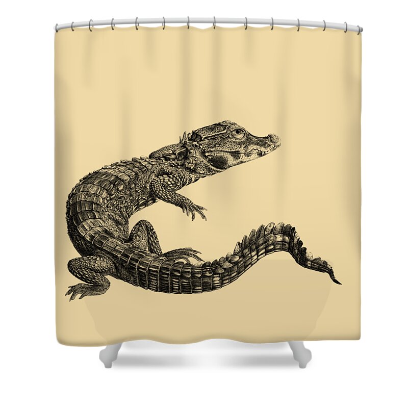 Crocodile Shower Curtain featuring the digital art Alligator by Madame Memento