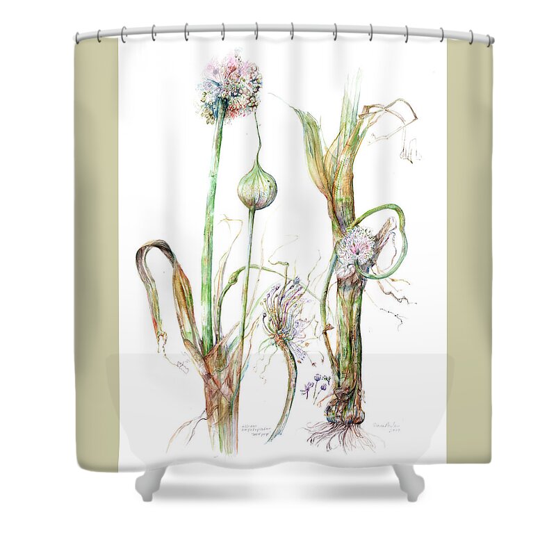 Flowering Leek Shower Curtain featuring the painting Allium ampeloprasum  by Gloria Newlan
