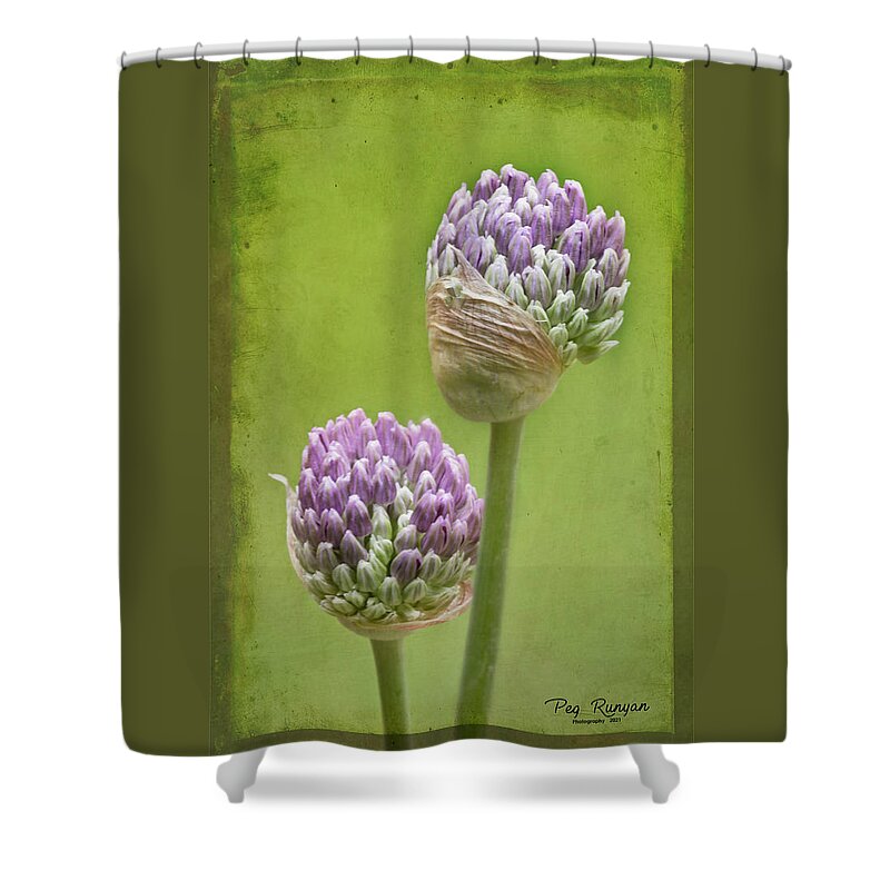 Onion Flower Shower Curtain featuring the photograph Allium Arrives by Peg Runyan