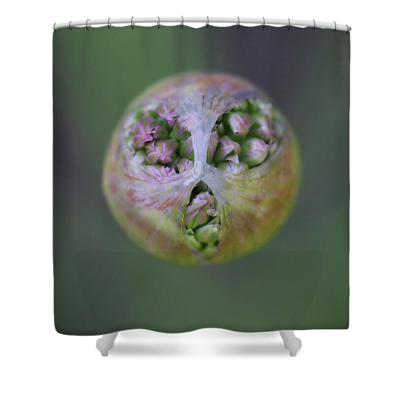  Shower Curtain featuring the photograph Allium Covid Flower by Tammy Pool