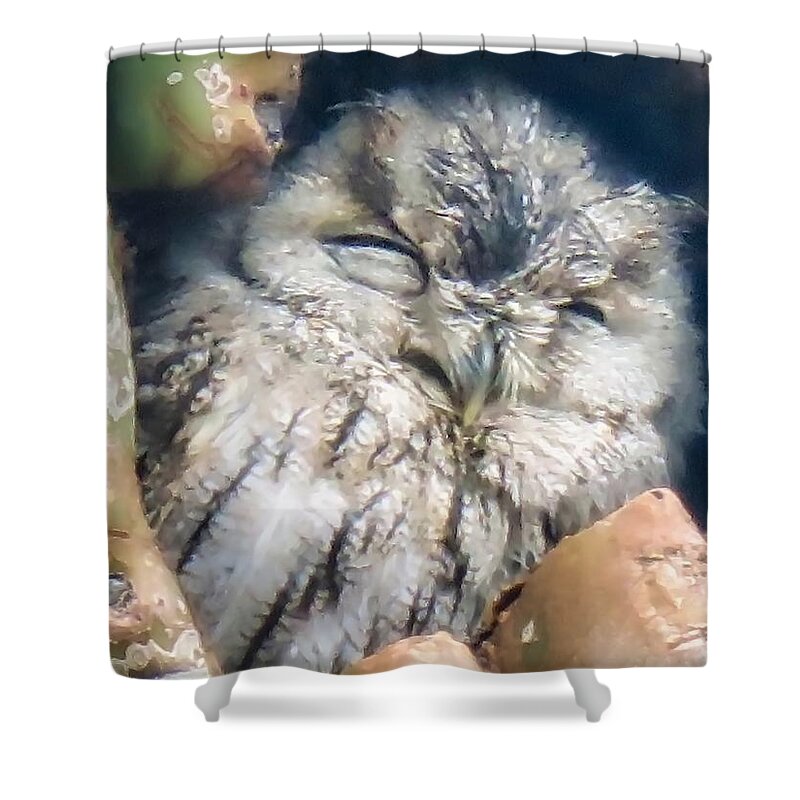 Icon Shower Curtain featuring the photograph Almost Asleep by Judy Kennedy