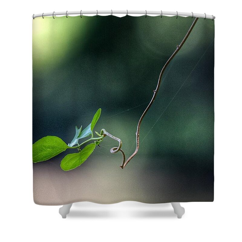 Photo Shower Curtain featuring the photograph Alone Above the River by Evan Foster