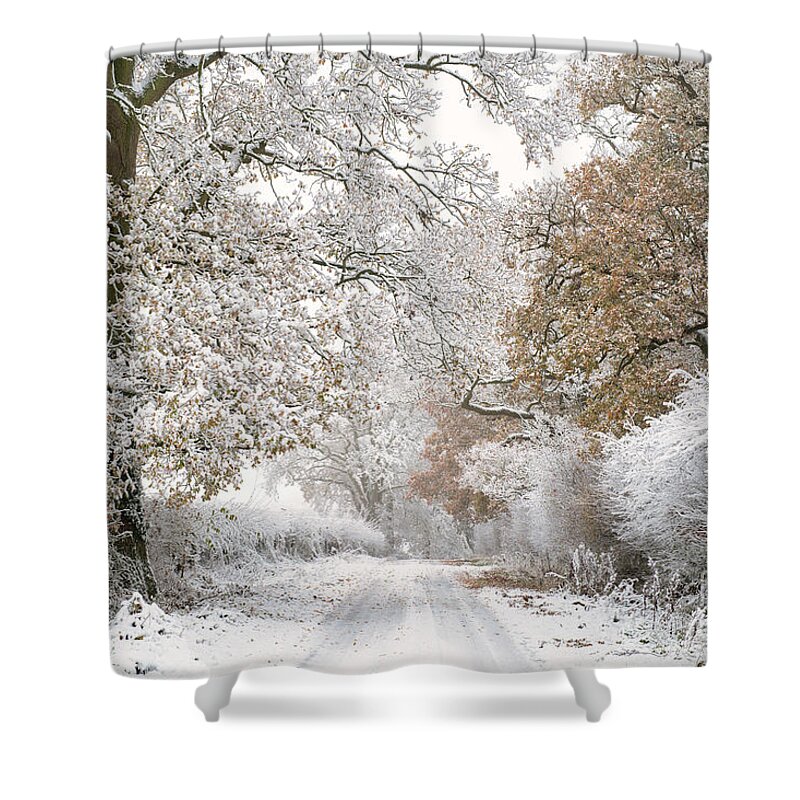 Oak Shower Curtain featuring the photograph Along a Winter Road by Tim Gainey