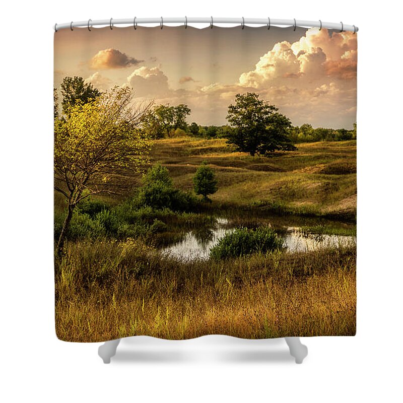 Sand Dunes Shower Curtain featuring the photograph Along the Dunes by Nate Brack