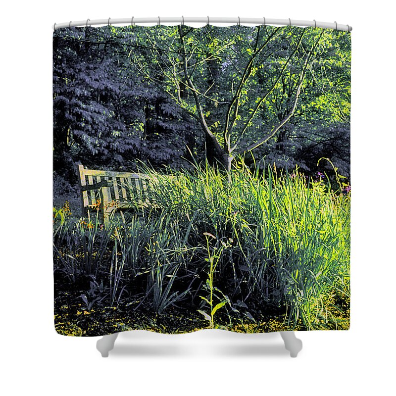 Nature Shower Curtain featuring the photograph Along the Path to Lake Caroline by Steve Ember