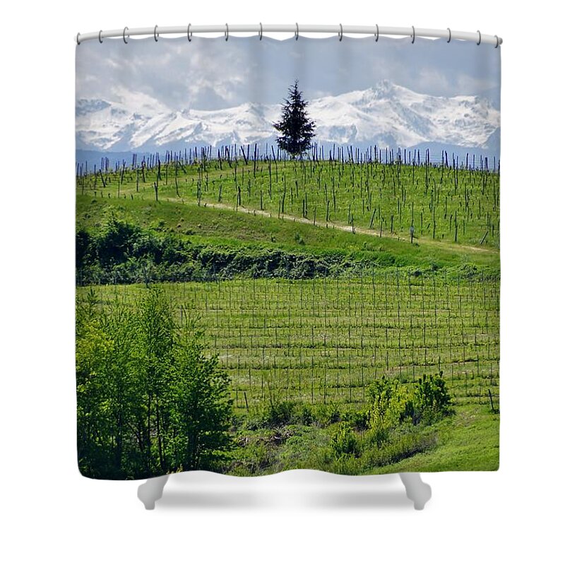 Cattazen Shower Curtain featuring the photograph 48 Monferrato. Autunno 2019 by Marco Cattaruzzi