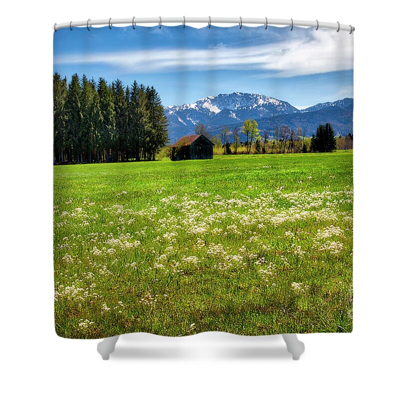 Nag006124 Shower Curtain featuring the photograph Alpine Meadow by Edmund Nagele FRPS
