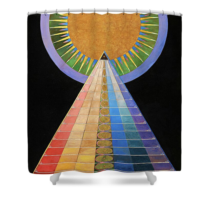 Diagram Paintings Shower Curtains