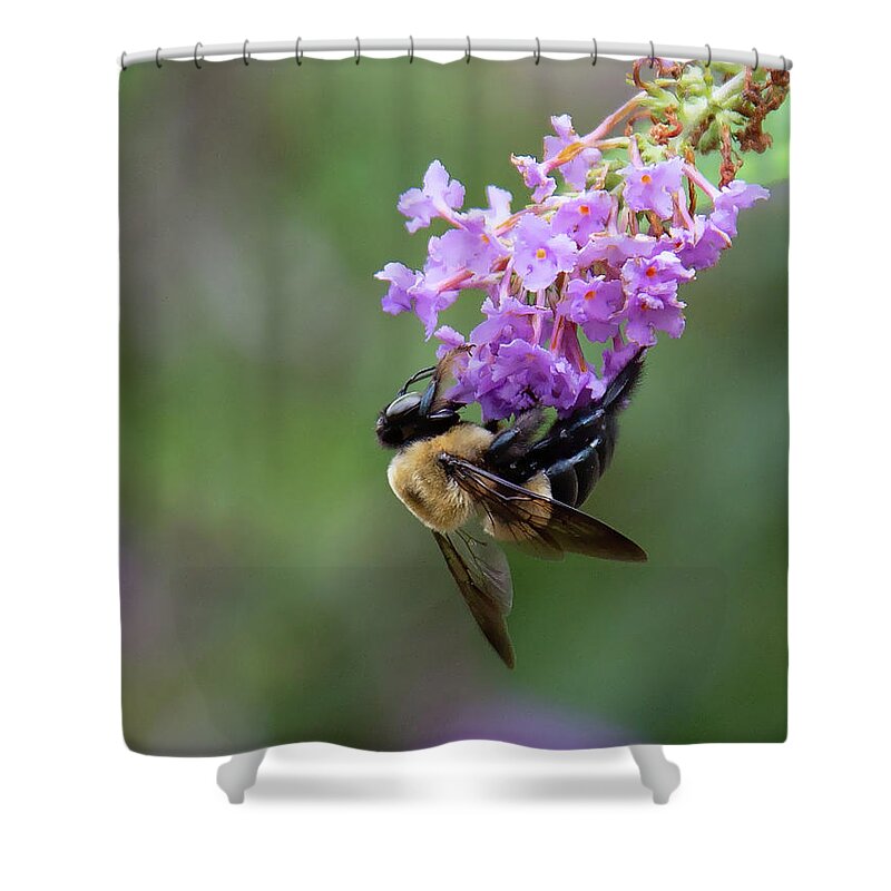 Bush Shower Curtain featuring the photograph Always Working by Gina Fitzhugh