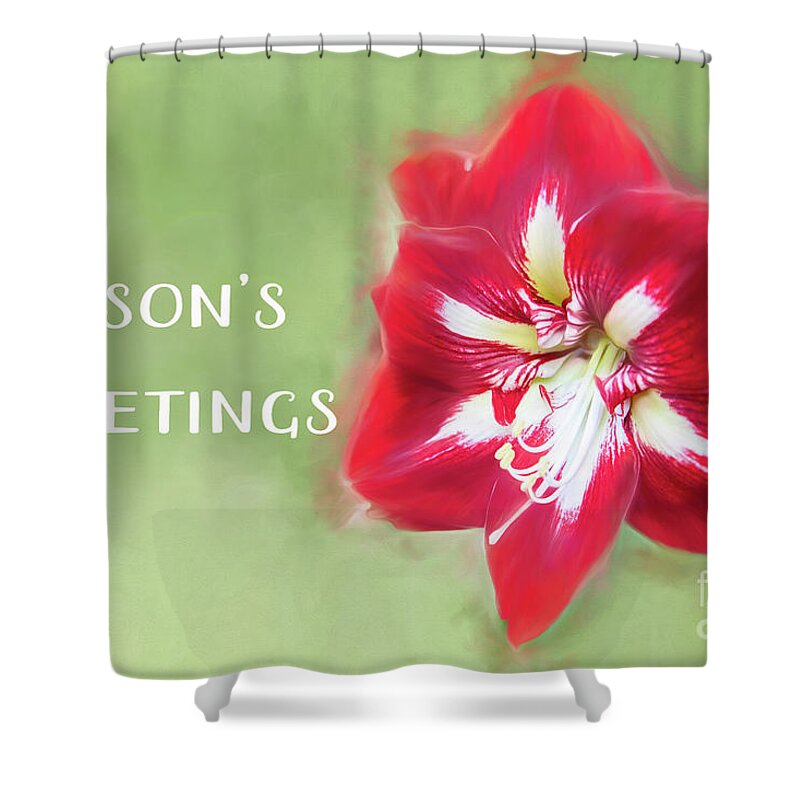 Christmas Shower Curtain featuring the photograph Amaryllis Holiday Greetings by Marilyn Cornwell