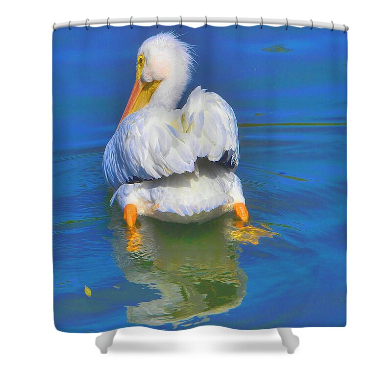 Pelican Shower Curtain featuring the photograph American White Pelican by Alison Belsan Horton