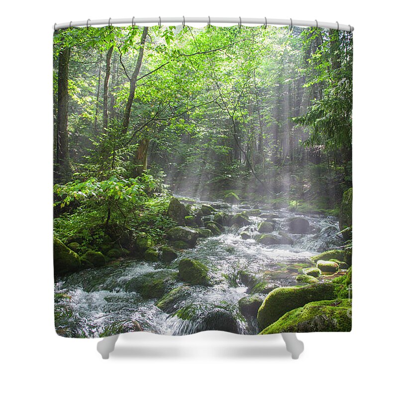 Adventure Shower Curtain featuring the photograph Ammonoosuc Ravine Trail - White Mountains NH USA by Erin Paul Donovan