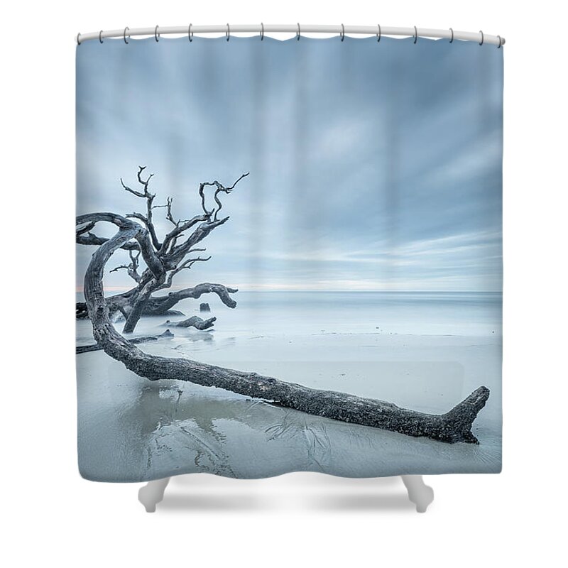 Driftwood Beach Shower Curtain featuring the photograph Ancient Driftwood by Jordan Hill