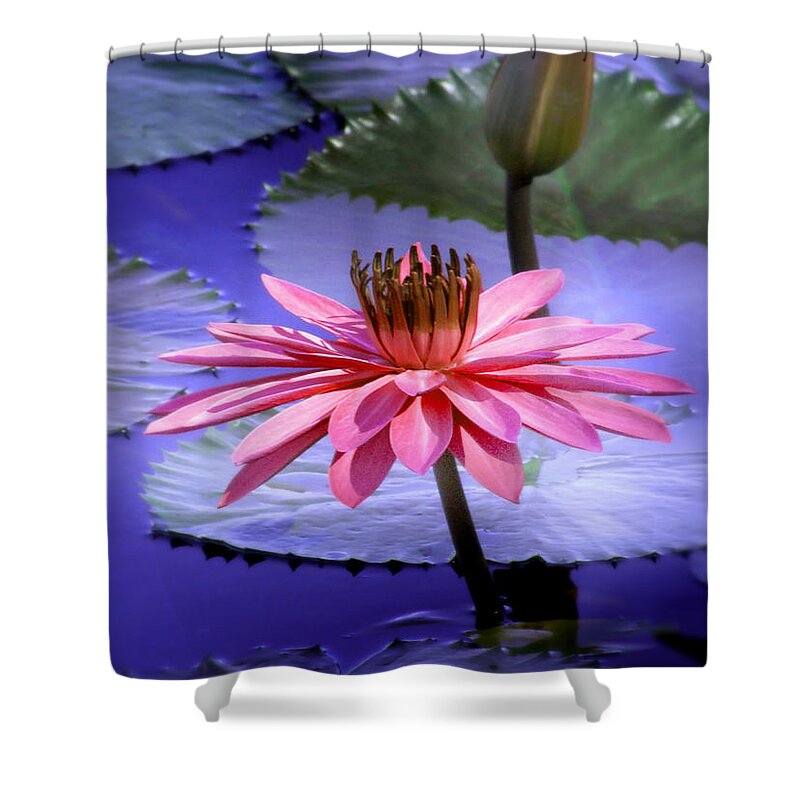 Lily Pads And Lotus Blossoms Shower Curtains
