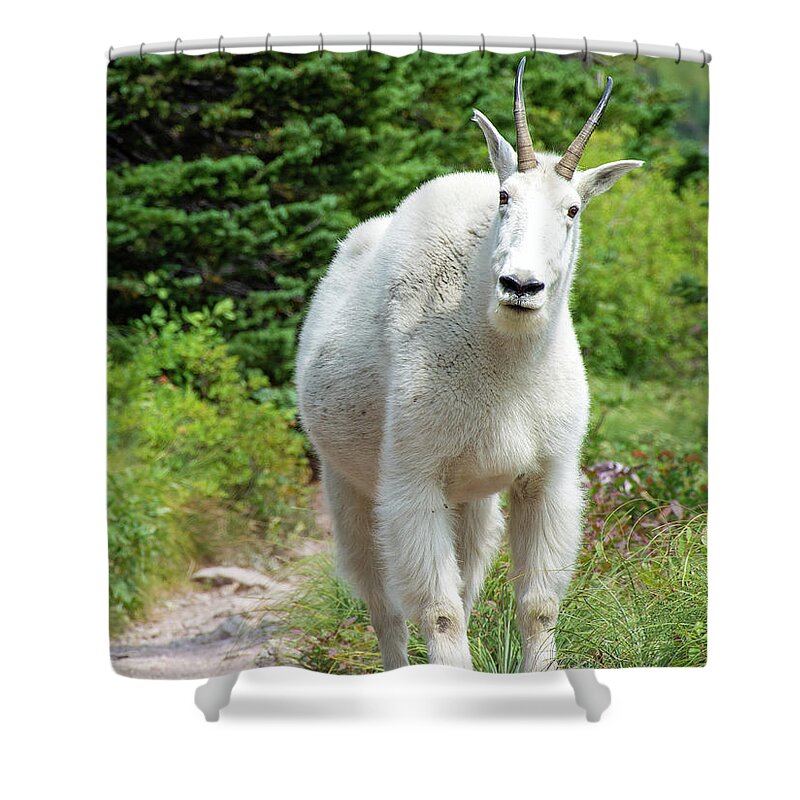 Glacier Shower Curtain featuring the photograph And You Are by Bruce Gourley