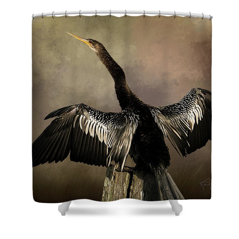 Anhinga Shower Curtain featuring the photograph Anhinga Portrait by Randall Allen