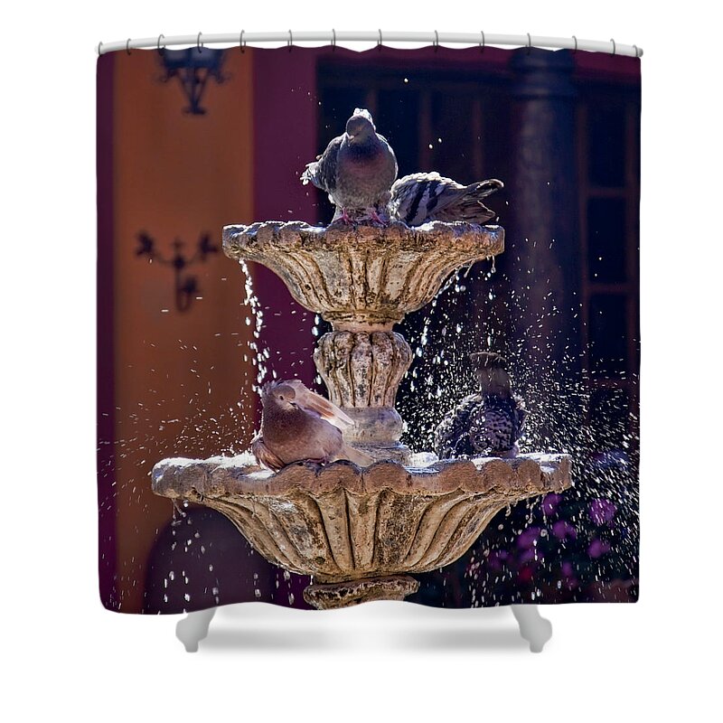 Water Fountain Shower Curtain featuring the photograph Animated Water Fountain by Tatiana Travelways