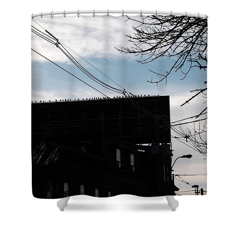 Bird Shower Curtain featuring the photograph Another One For Alfred by Kreddible Trout