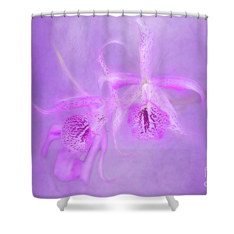 Art Shower Curtain featuring the photograph Another Purple Orchid by Ed Taylor