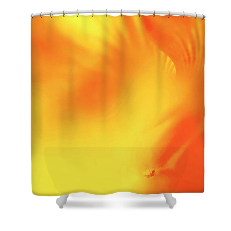 Ant Shower Curtain featuring the photograph Ant in Hibiscus by Louise Tanguay