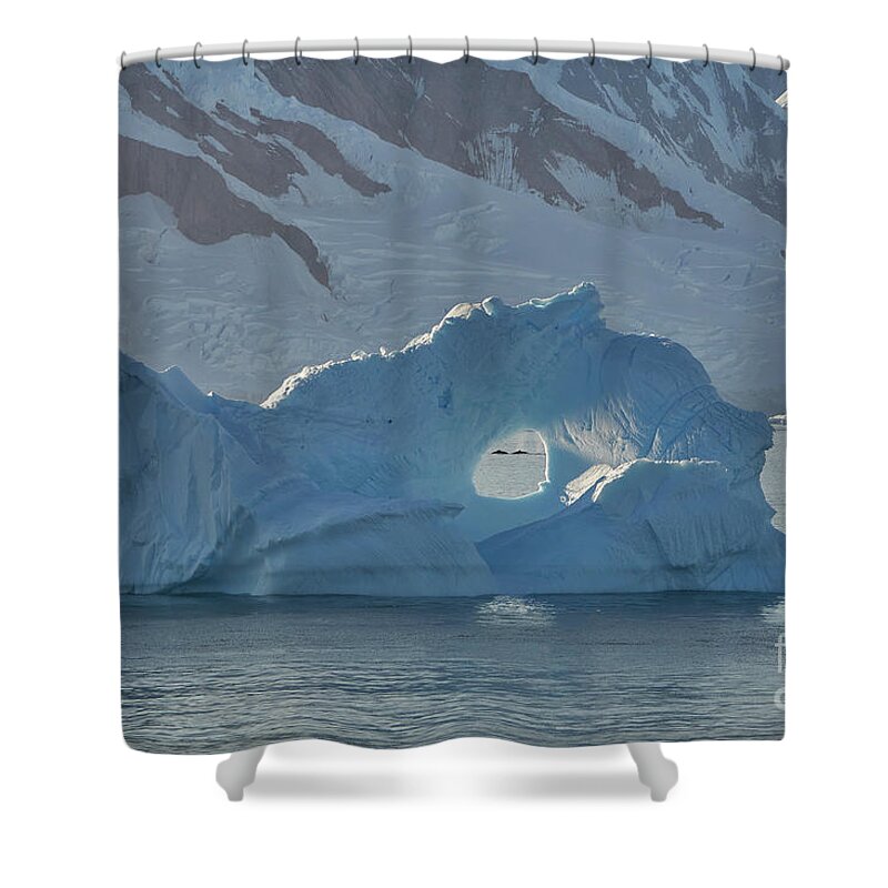 Antarctica Shower Curtain featuring the photograph Antarctica by Brian Kamprath