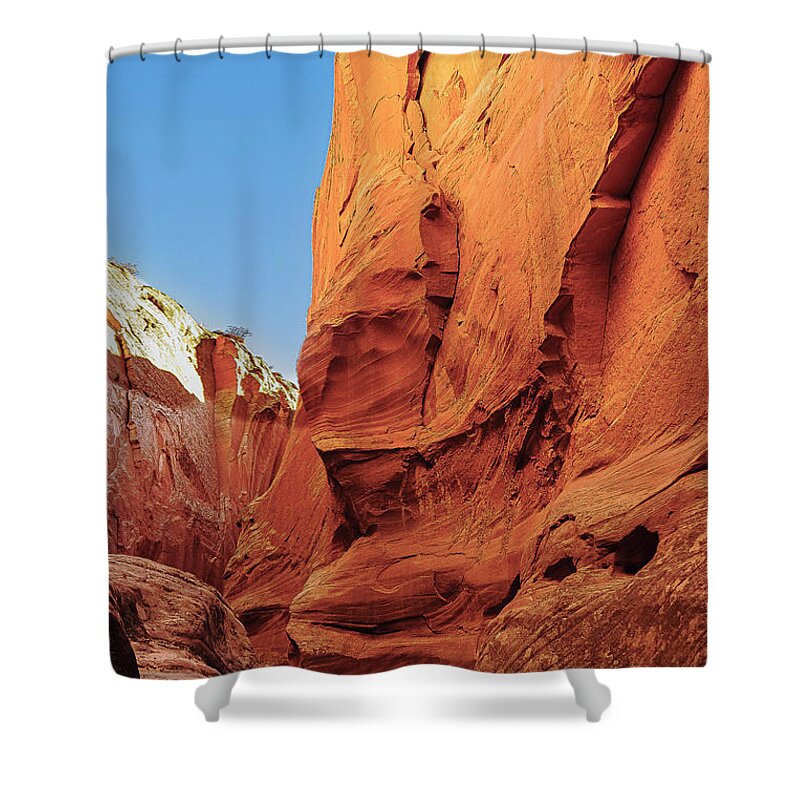 Landscape Shower Curtain featuring the photograph Antilope Series 6 by Silvia Marcoschamer