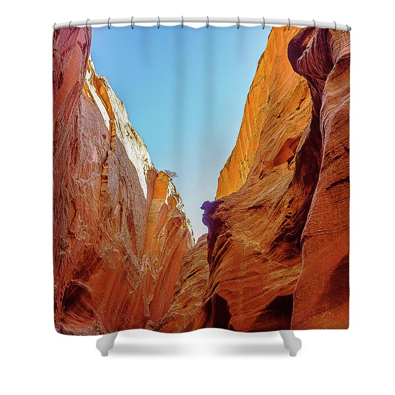 Landscape Shower Curtain featuring the photograph Antilope Series 8 by Silvia Marcoschamer