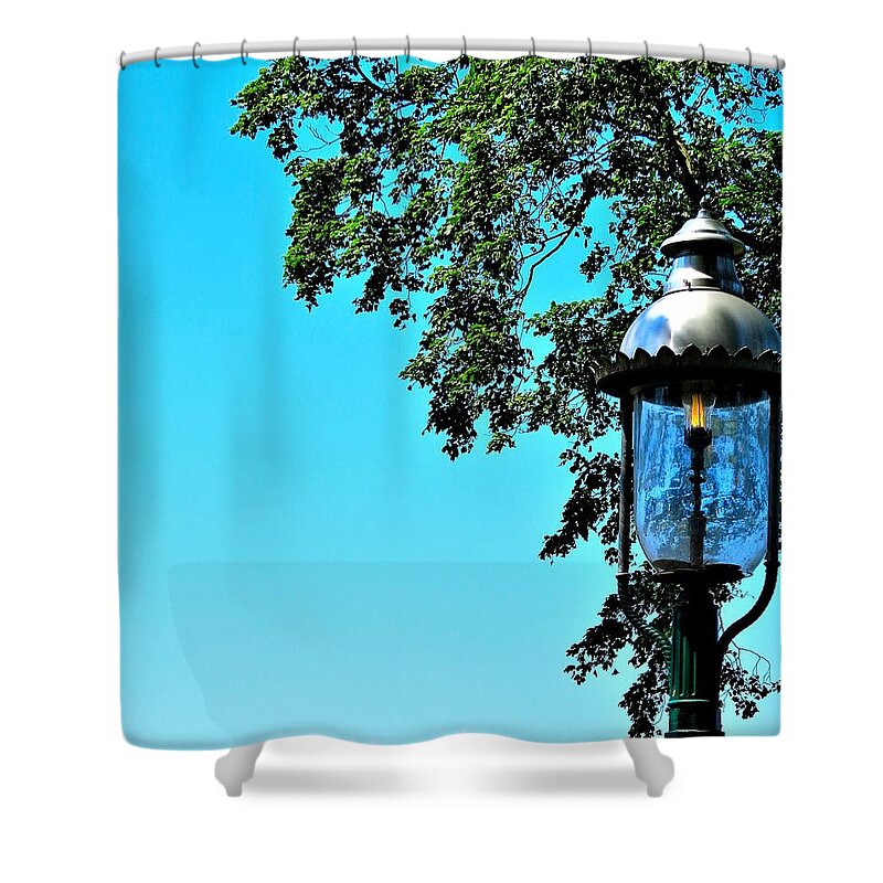 Lampost Shower Curtain featuring the photograph Antique Gas Lampost on a Summer Day by Linda Stern