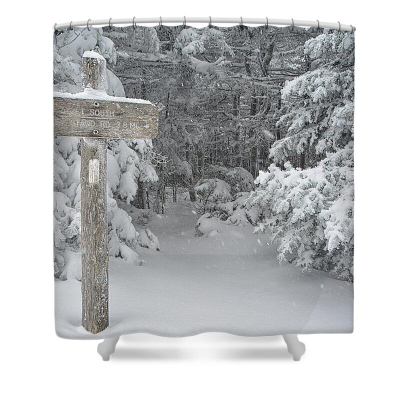 Appalachian Trail Vt Heads North Of Stratton Summit Shower Curtain featuring the photograph Appalachian Trail VT Heads North of Stratton Summit by Raymond Salani III