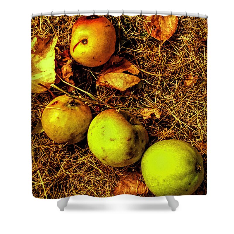 Apples Shower Curtain featuring the photograph Apples by Kathryn Alexander MA