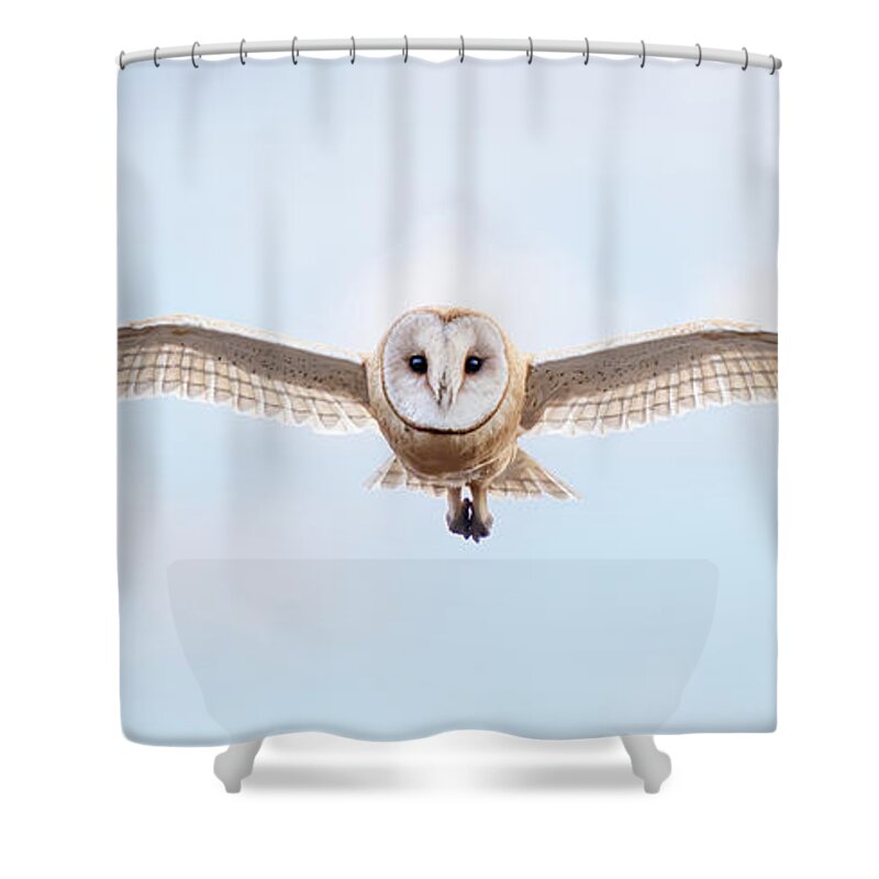 Animal Shower Curtain featuring the photograph Approach by Alice Cahill