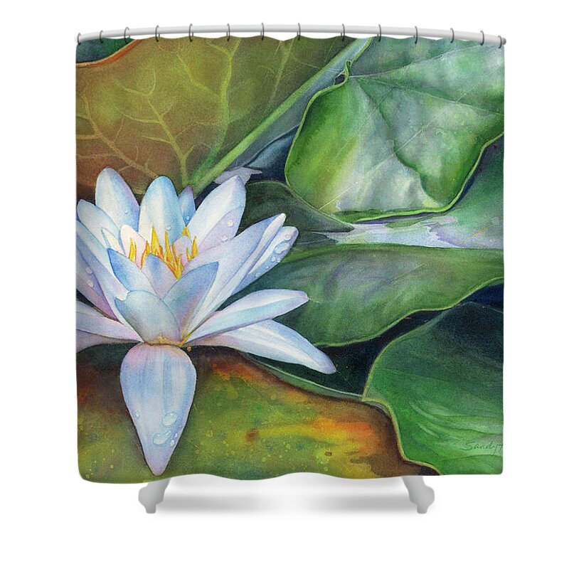 Original Watercolor Painting Shower Curtain featuring the painting Arboretum Star by Sandy Haight