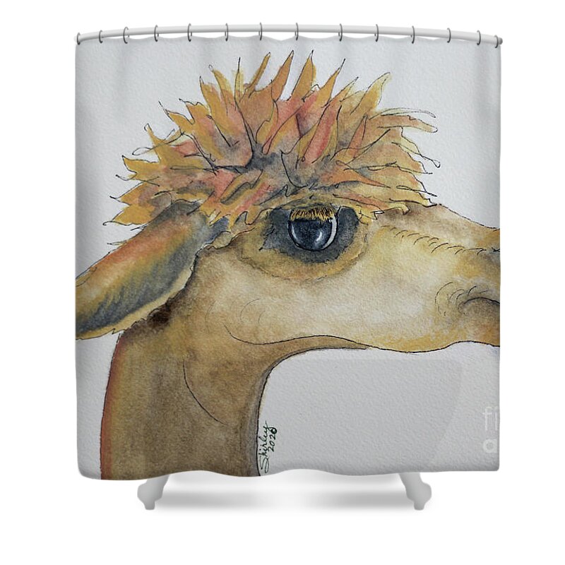 Alpaca Shower Curtain featuring the painting Archie the Alpaca by Shirley Dutchkowski