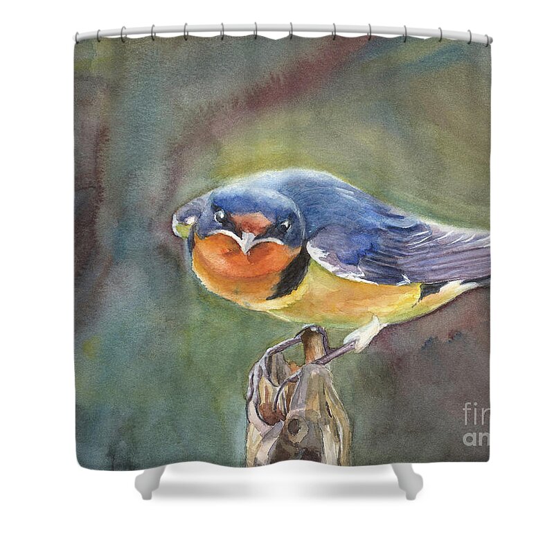Barn Swallow Shower Curtain featuring the painting Are you looking at me? by Vicki B Littell